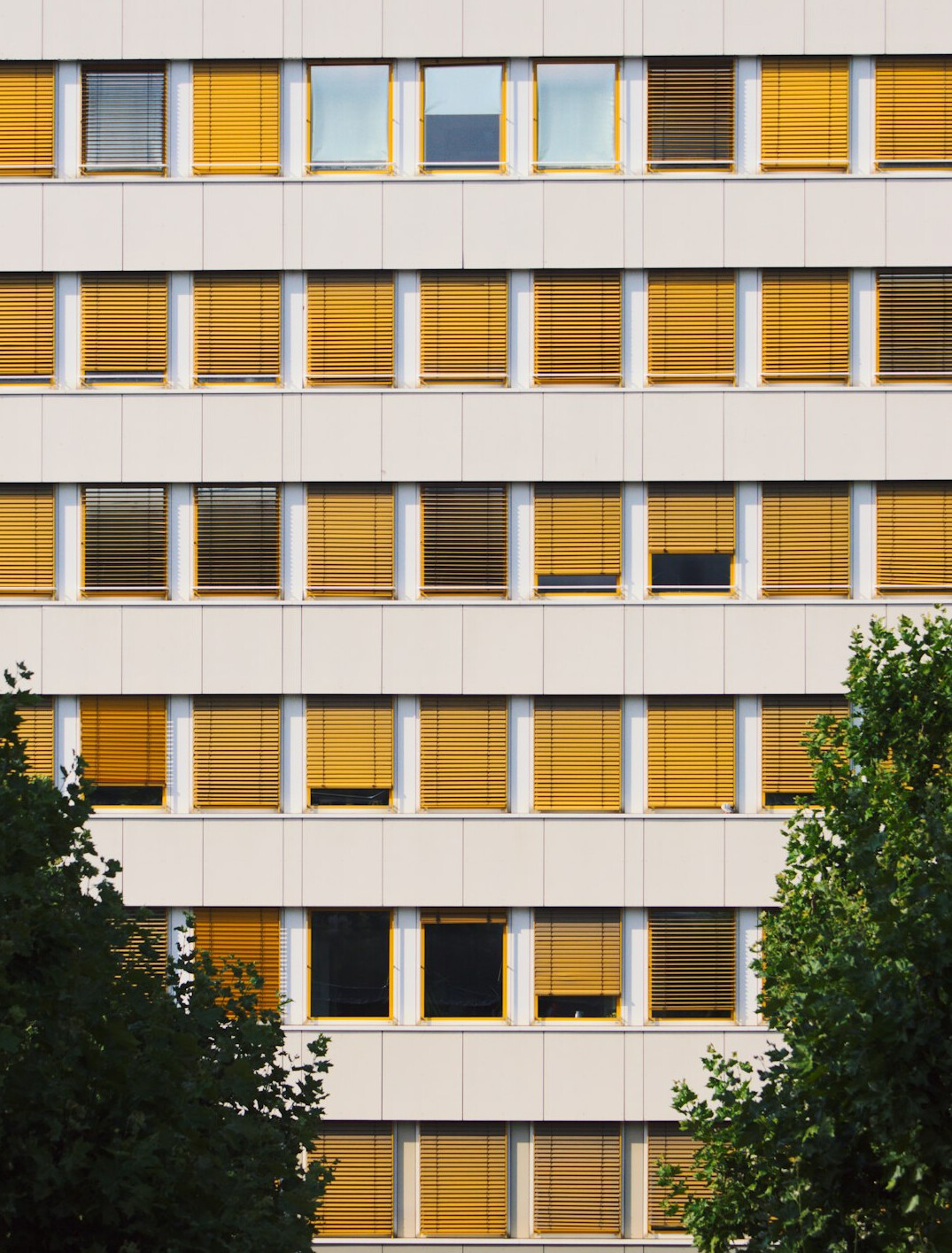 Bright modern open office with large windows